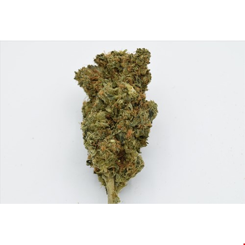 Lemon Diesel (Hybrid) - SALE 3 OZ $75